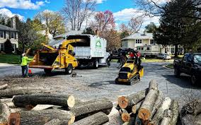 Best Aeration Services  in Garner, IA